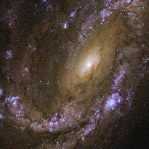 NGC 4051
