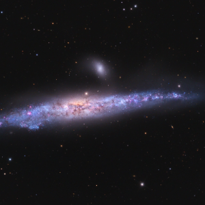 NGC 4631, the Whale Galaxy