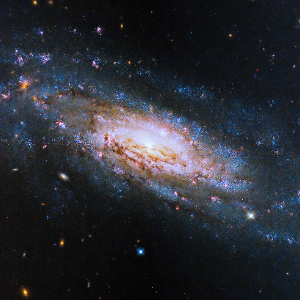 NGC 4951