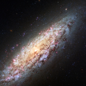 NGC 6503, the Lost-in-Space Galaxy, a true void galaxy drifting in isolation within the Local Void